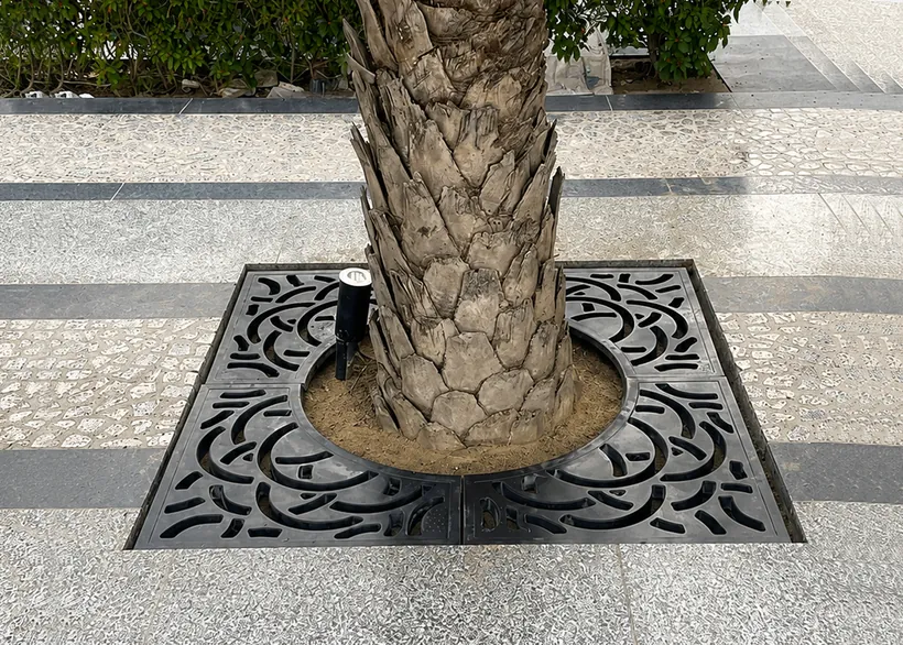 Square tree grating around a palm